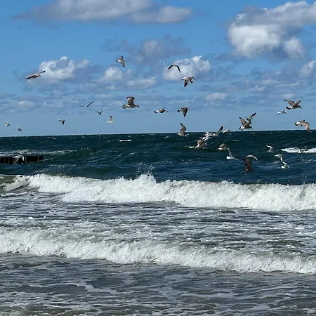 Apartment Sloneczna 28 - *