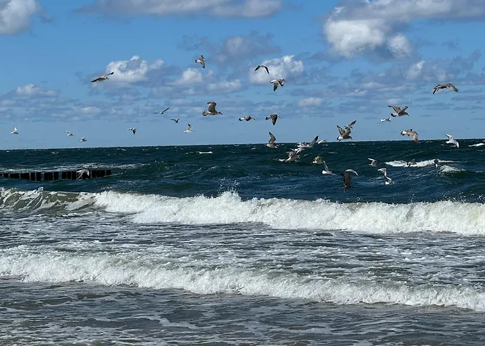 Apartmán Sloneczna 28 - *